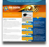 Of-course we designed and coded the full tamdigital web site, the old design is shown here.